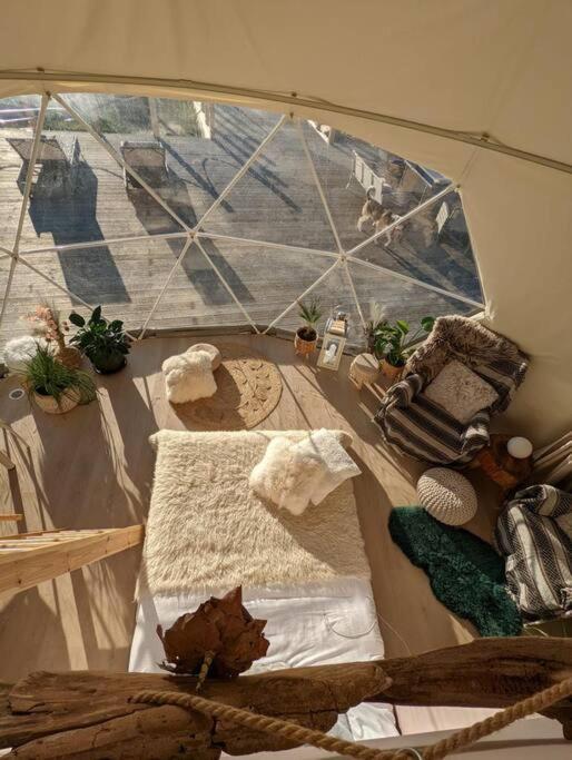 Beautiful Located Dome Wapnica (West Pomeranian) Exterior foto